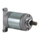 Yamaha Grizzly 550 (2009-2014) Starter